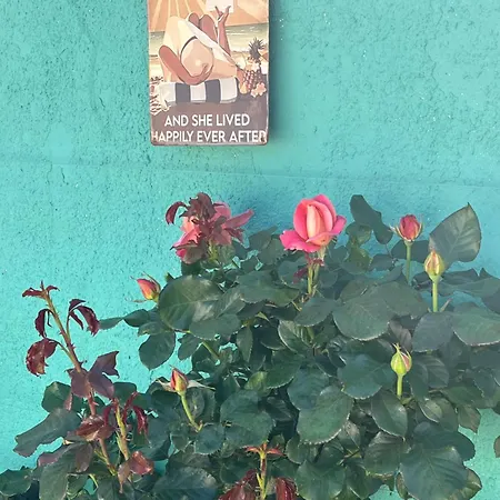 Un Air De Famille Saint-Pierre-d'Oleron