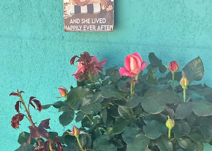 Un Air De Famille Saint-Pierre-d'Oleron